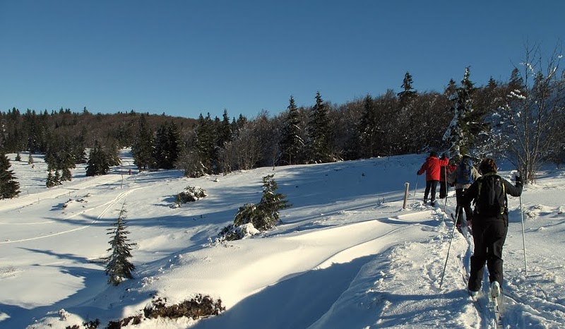 CV ski fond 30 janv 2011 006
