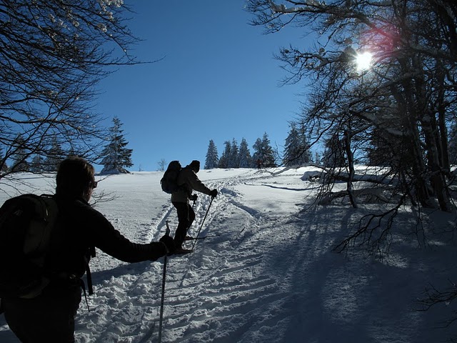 CV ski fond 30 janv 2011 008