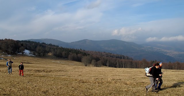 48     12 13 fevr 2011
