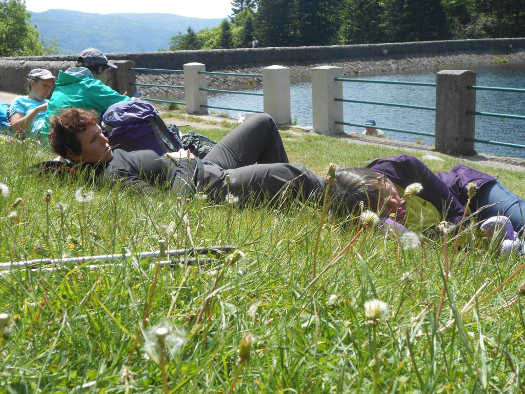 DSCN7361 06-16-2015