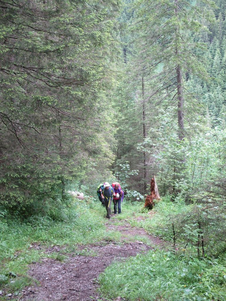 Stechelberg A1 10