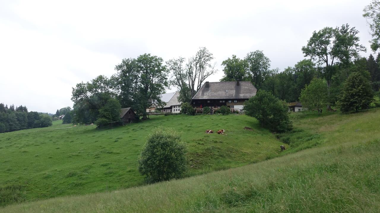 Photos MartinH A009 12-06-2018