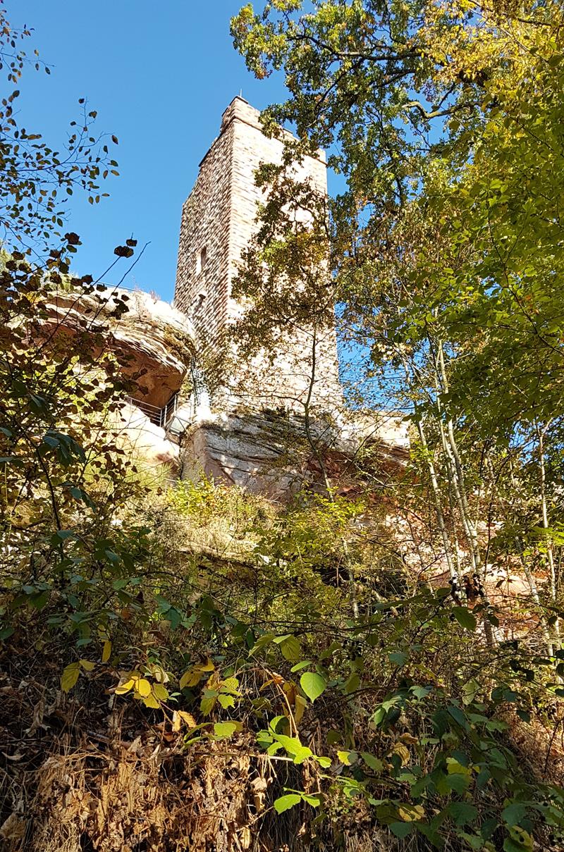 VosgesNord Hanau Roland A001 15-10-2018