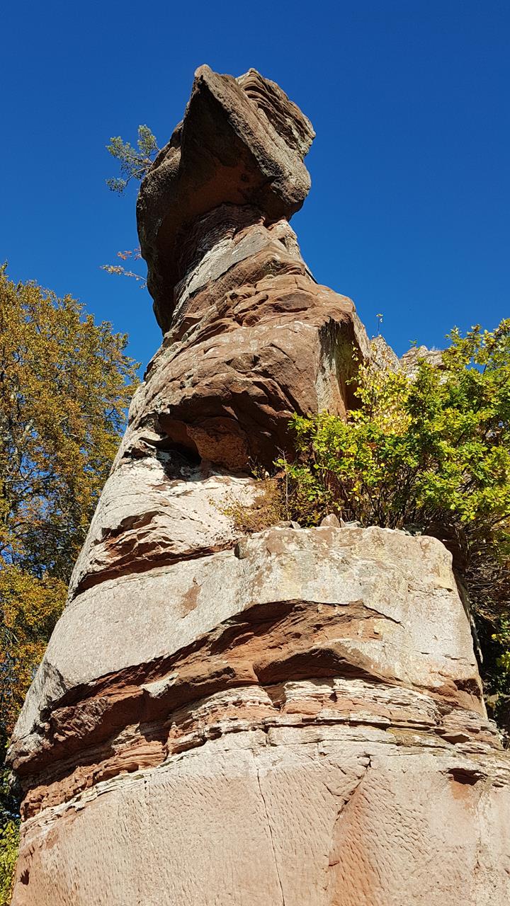 VosgesNord Hanau Roland A037 15-10-2018
