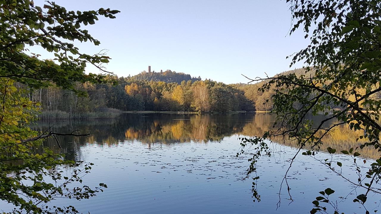 VosgesNord Hanau Roland A044 15-10-2018