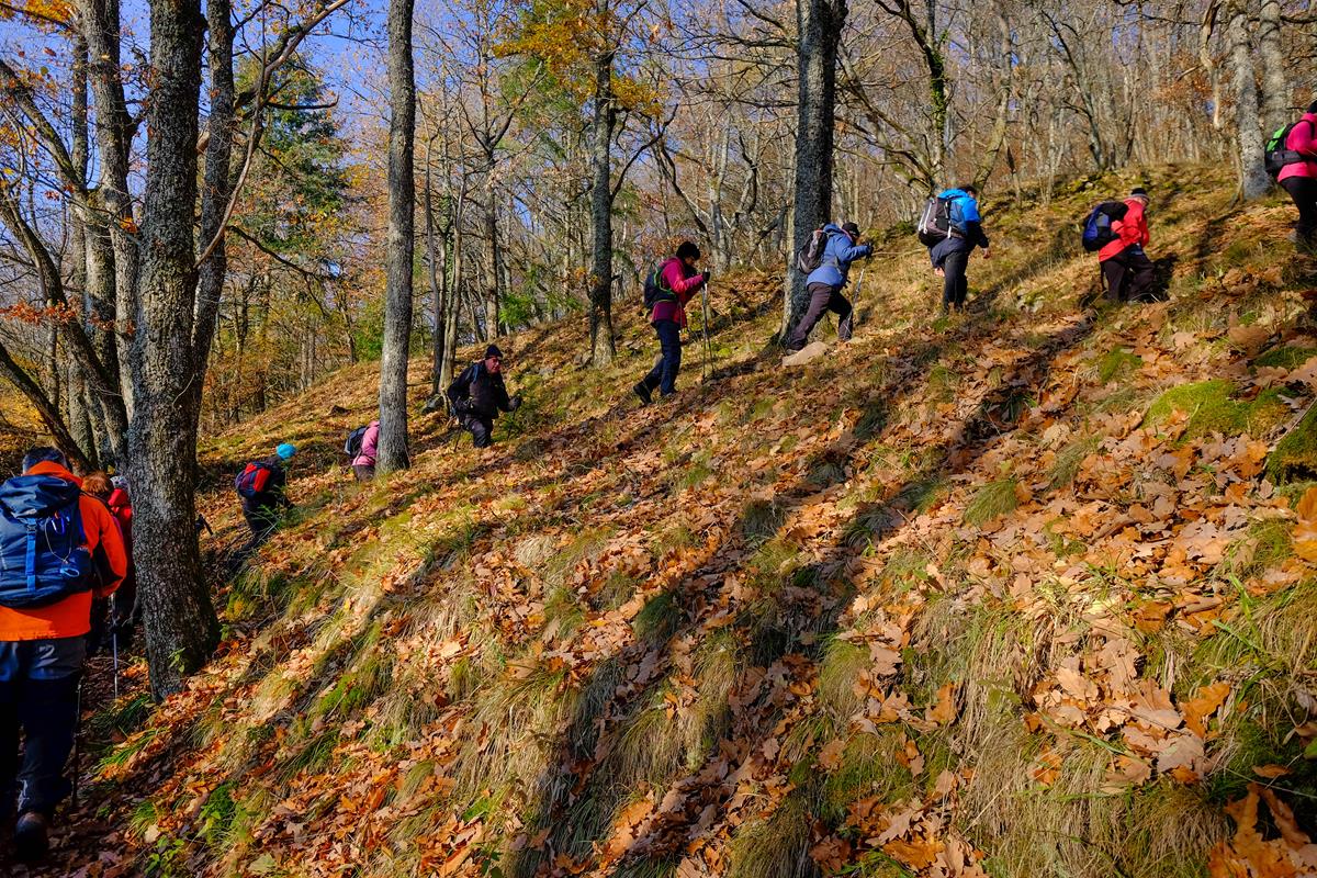 Hartmannswillerkopf Arie A002 23-11-2018