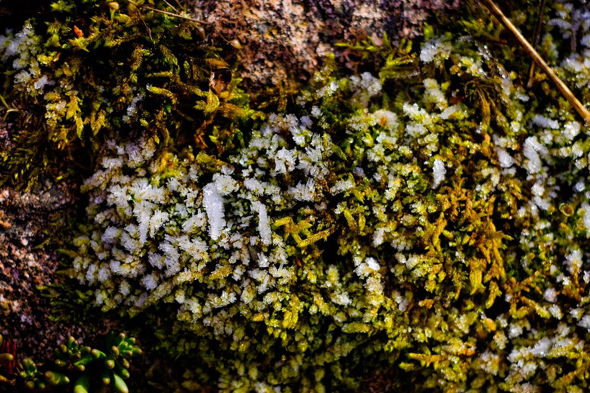 Hartmannswillerkopf Arie A030 23-11-2018