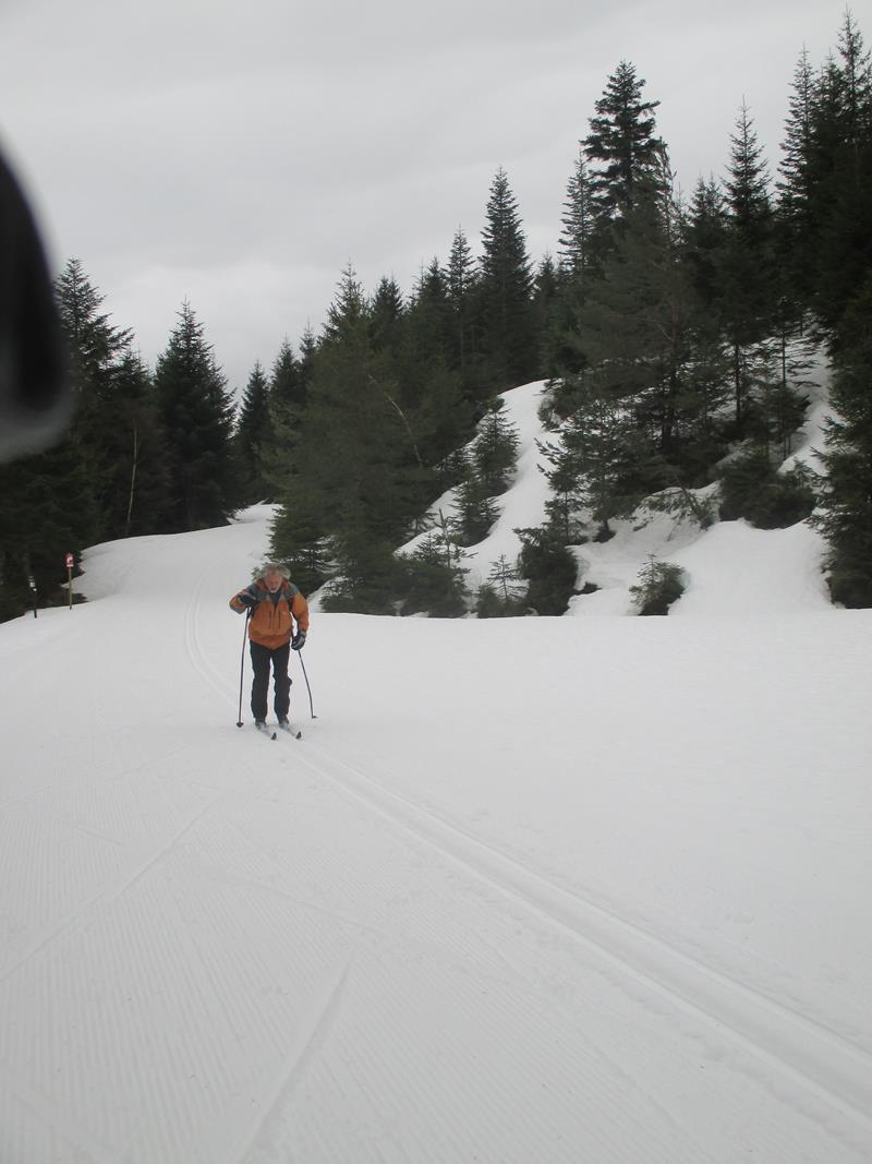 IMG 5225 31-01-2018