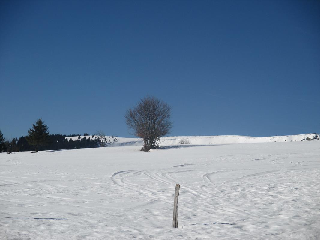 Benoit A024 19-02-2019